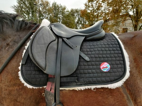 Ilaria saddle service - saddle fitting - selle cavaletti collection