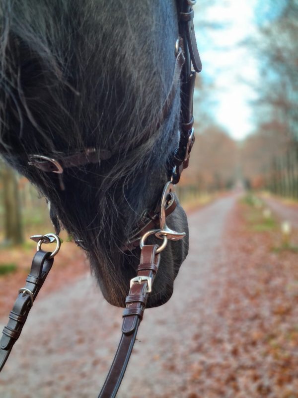 testiera bitless bridle hackamore anatomico edix hack q